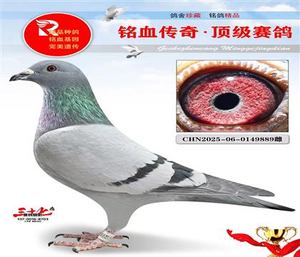 ����ֱ�ӡ�1491ֱŮ