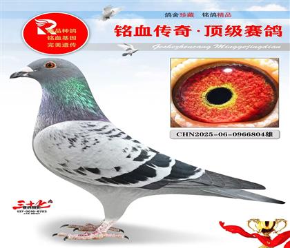 �����������õĻ�Ѫ