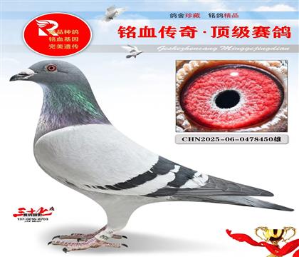 �ھ�Ӣ��˹����������Ǿ�