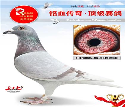 �ٸ뼾������������Ǿ�