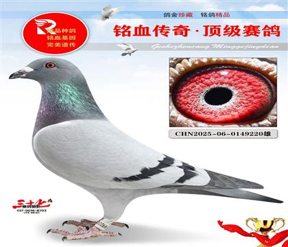 ����ֱ�ӡ�����ֱŮ