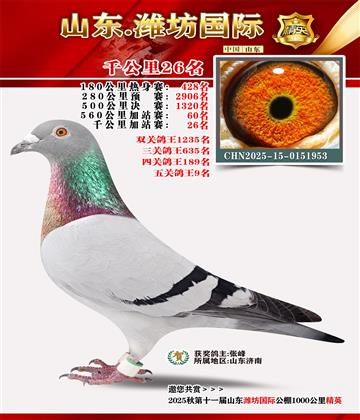 Ϋ������ǧ����26��