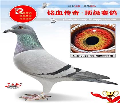 ������ţ��Ѫ