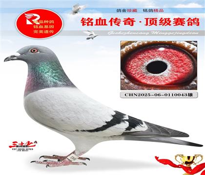 1491ֱ�1491ֱŮ