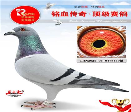 ղ��˹802��Ѫ