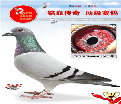 �����ۡ�����13��