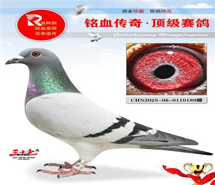 �����ۡ�����13��