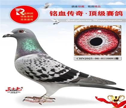 ����š��ر��׼