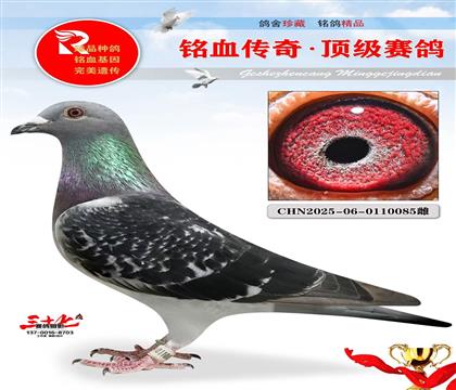 Ұ��������Ұ��Ů��