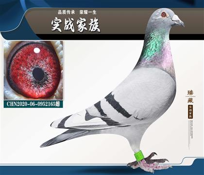 ���������� ǧԪ���� �Ǿ�