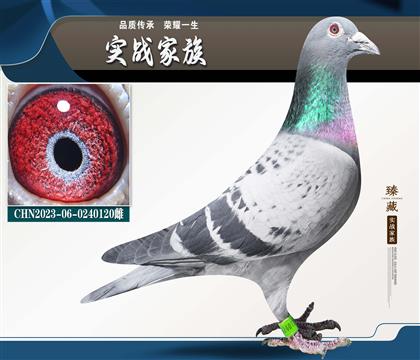 ��õ��Ŵ� ��ͼ��˹003��