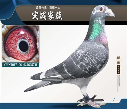 �����ڵ�����������