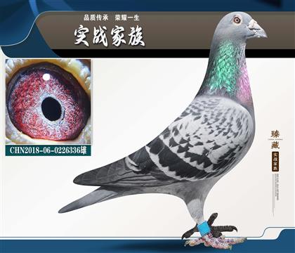 ղɭ���ľ��� �ɱȶԿ�123����