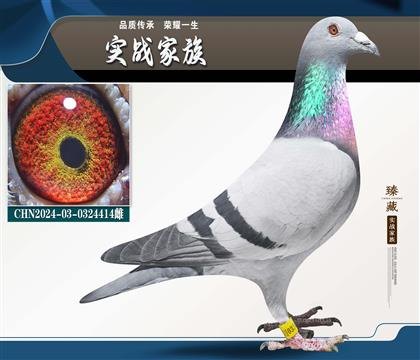 ���־� ��������ԡ�