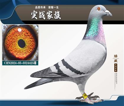 ���������츣�� �ܽ�ͷ������ϵ