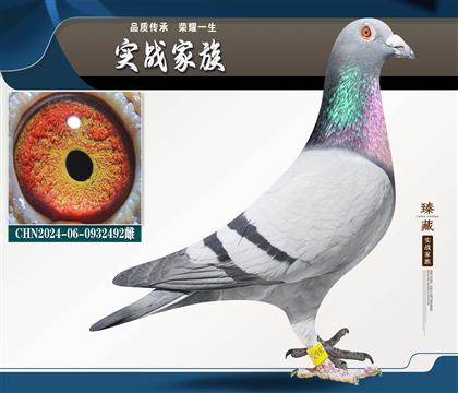 ��ƿ�Ѫ�����ٶȻ���+��ǿ�鳲��