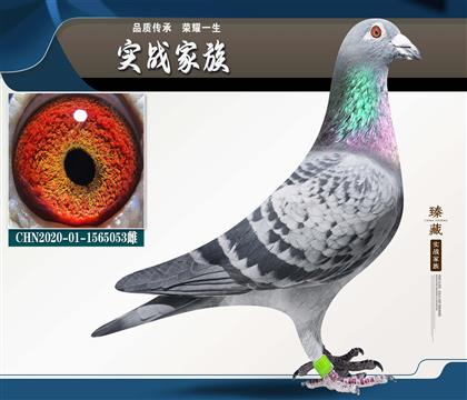 ��˳��-��־��