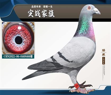 �����Է������š�