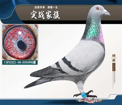 ����38��X�Ǿ� �ֲ������漣32��