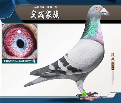 �����λá�������X���۴ơ�11��