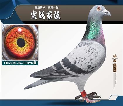 ����¡ �����ܹھ�