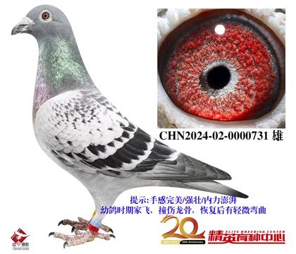 ŷ������ѻ��ض�