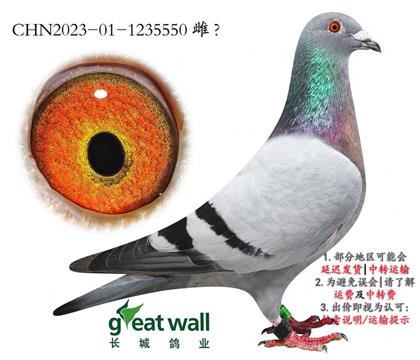 ���ǣ�����������˶��ػ�Ѫ