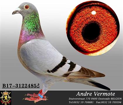 �����Ҳ�Ĭ��ԭ��