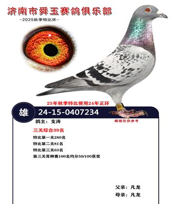 �����ۺ�39��