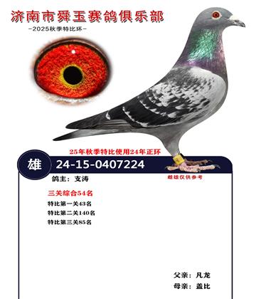 �����ۺ�54��