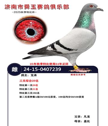 �����ۺ�20��