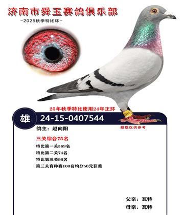 �����ۺ�75��