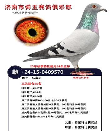 �����ۺ�55��