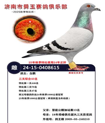 �����ۺ�43��