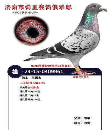 �����ۺ�B��9�� A��44��