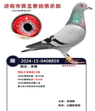 �ر������ۺ�19��