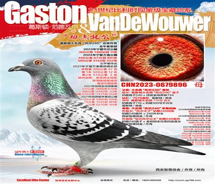 240���ػ�Ѫ����11��ȫ����