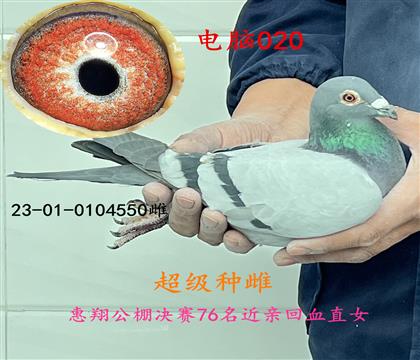 ��Ѫ����020