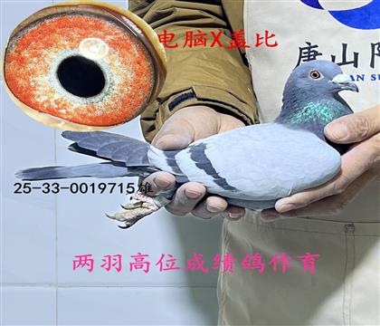 ����X�Ǳ�