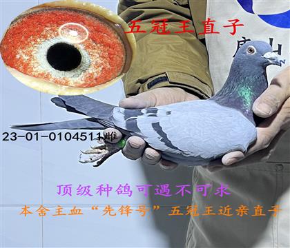 �����ֱ��