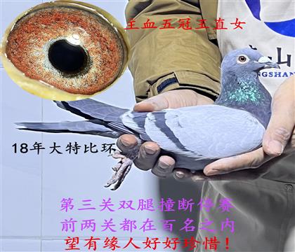 ��Ե���ƣ�