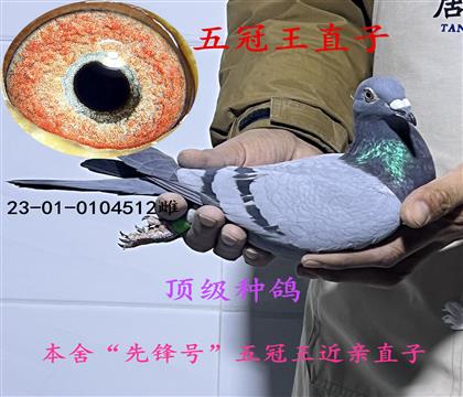 �����ֱ��