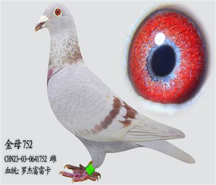 �޽ܸ��׿� ��ĸ752