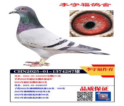 �����ָ�  �ھ�����287