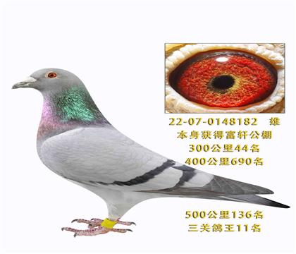 ���ظ���11��