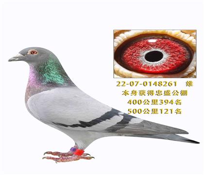 ������ʢ�������121��