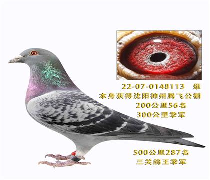 �ڷɹ������ظ������� �˸�7����Ļ�