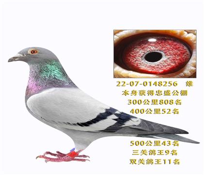 ������ʢ���ظ���9�� �˸�16�����Ļ�