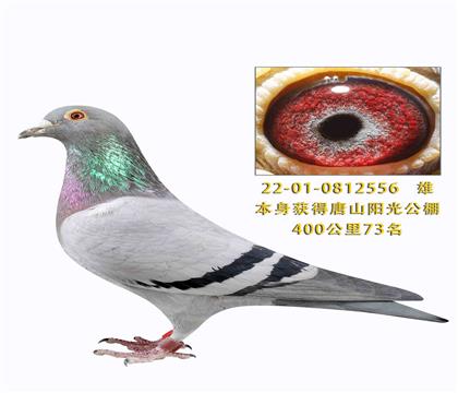 ���������ɽ���⹫��400����73��