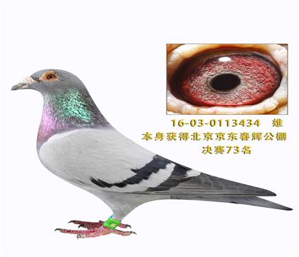 ������ñ������Թ������73��